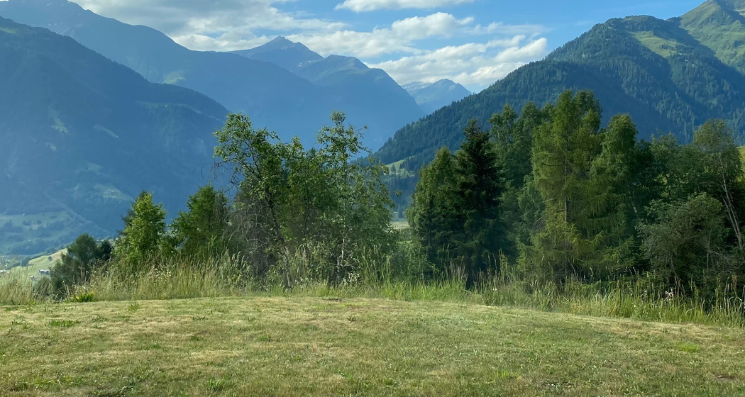 Ferienwohnung Bischu Valtiarm - Aussicht Sommer