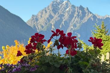 Ferienwohnung - Berge