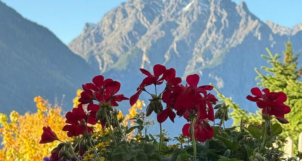 Ferienwohnung - Berge