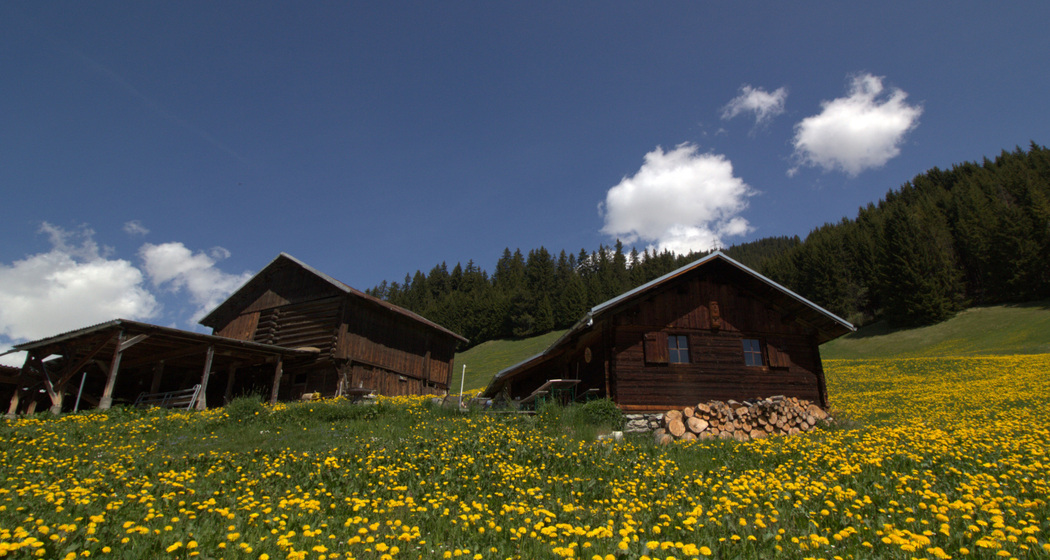 Arca da Siat - Maiensäss Ansicht Sommer