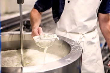 Von der Milch zum Käse