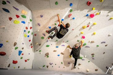 Bouldern Mountain Gecko