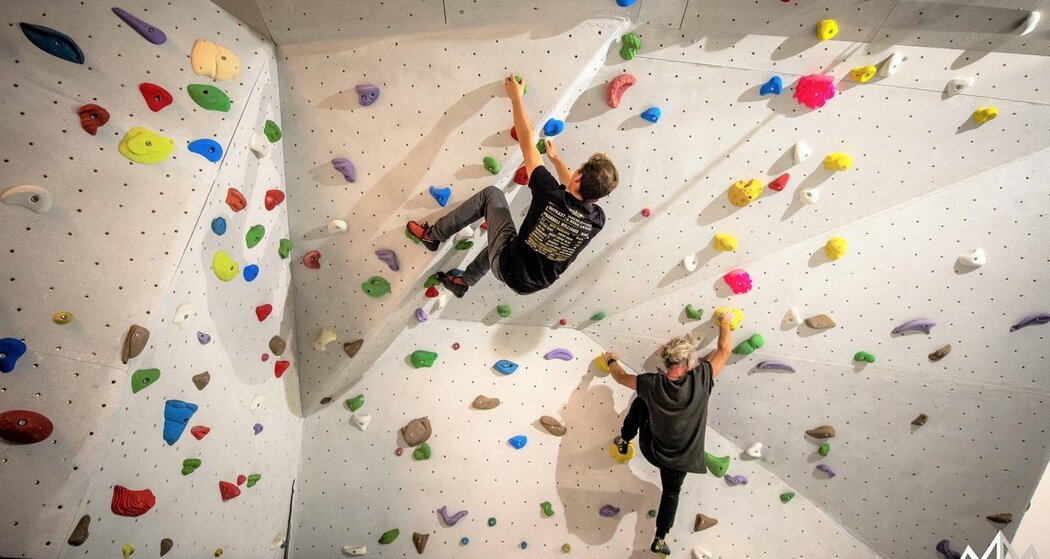 Bouldern Mountain Gecko
