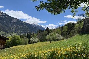 Casa Grischina - Bergparadies