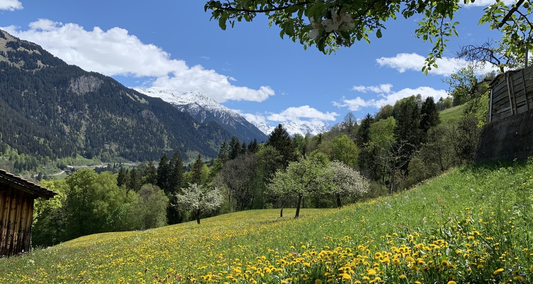 Casa Grischina - Bergparadies