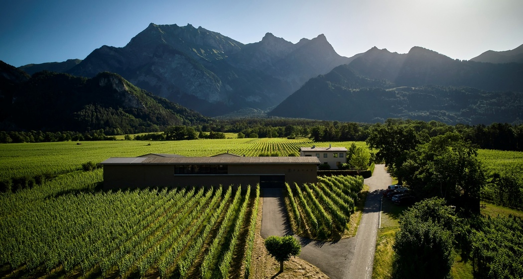 Weingut Davaz