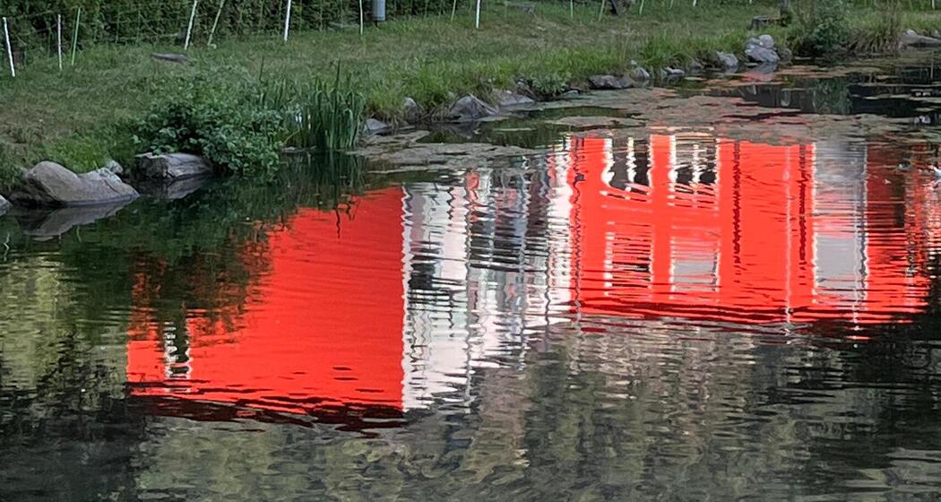 Vista lago