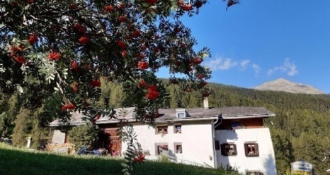 chasa Zanoli