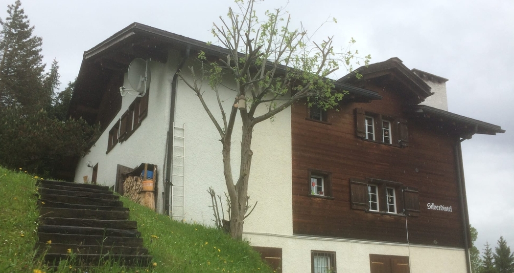 Ferienwohnung Silberdistel - Aussenansicht Sommer