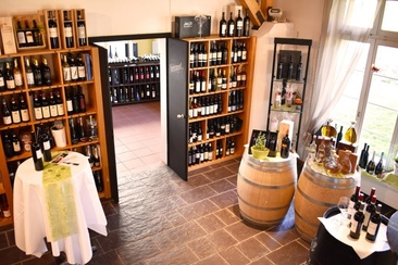 Plozza Wine Group (ctd_05ad1220-4bd3-450f-88e9-1de9a07c6509_image)