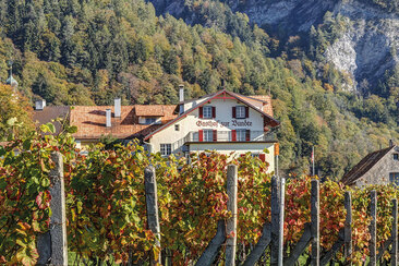 Hotel Gasthof zur Bündte (ctd_077f5f5_image)
