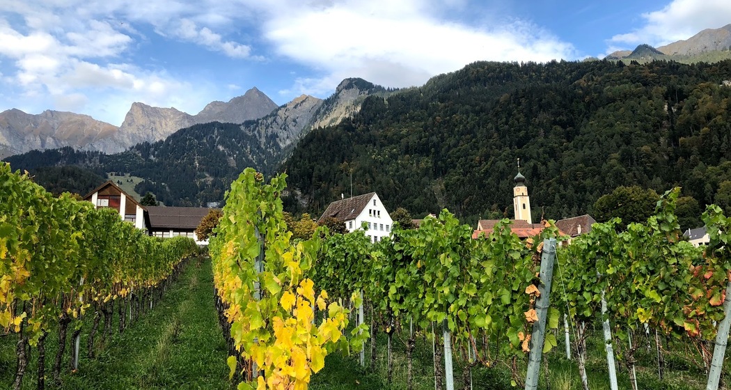 Jürg Obrecht Weine Jenins (ctd_0939b6d_image)