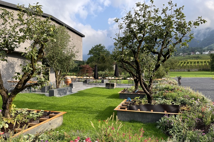 Weingut Fromm, Malans (ctd_0c207d9_image)