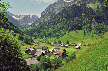 Alte Dorfsäge Weisstannen (ctd_0e9bb4c7-c2df-473a-94ae-fe8c3fc62c17_image)