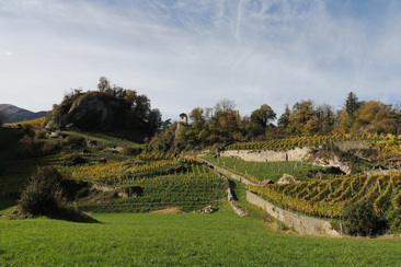 Portaser - Landwirtschaft & Weinbau (ctd_0f36d541-e2ba-48ab-8973-cc364ad55a3a_image)