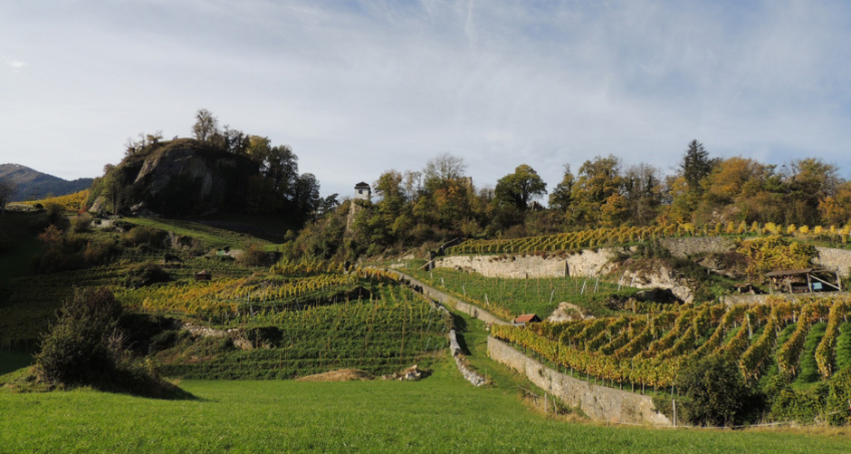 Weingut Portaser (ctd_0f36d541-e2ba-48ab-8973-cc364ad55a3a_image)