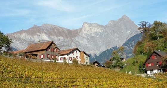 Weingut Portaser (ctd_0f36d541-e2ba-48ab-8973-cc364ad55a3a_img01)