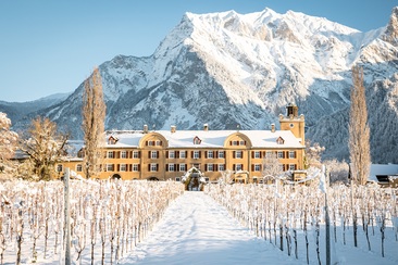 Weingut Schloss Salenegg (ctd_1a3cfa3_winter)