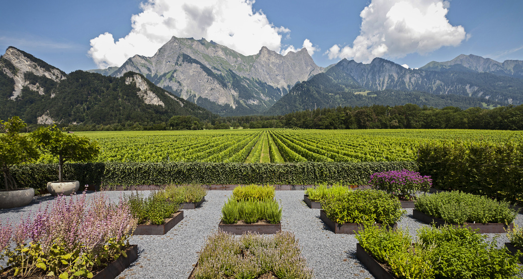 Weingut Davaz (ctd_1bb54ae_image)