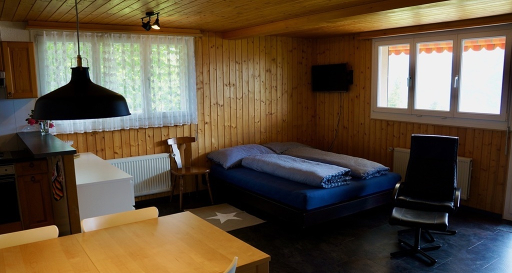 Haus Panorama B (Whg. Weibel) (ctd_2609ffc_image)
