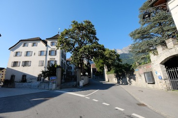 Weingut Pola Maienfeld (ctd_29ba0c83-a3b0-4015-8b05-3b148a39214f_image)