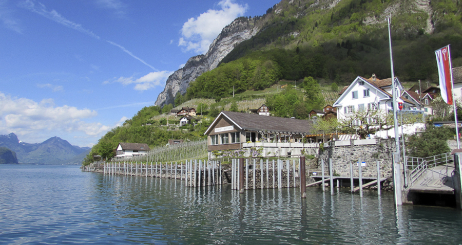 Restaurant Schifflände (ctd_2e167736-dc78-4262-878d-80929bc94753_image)