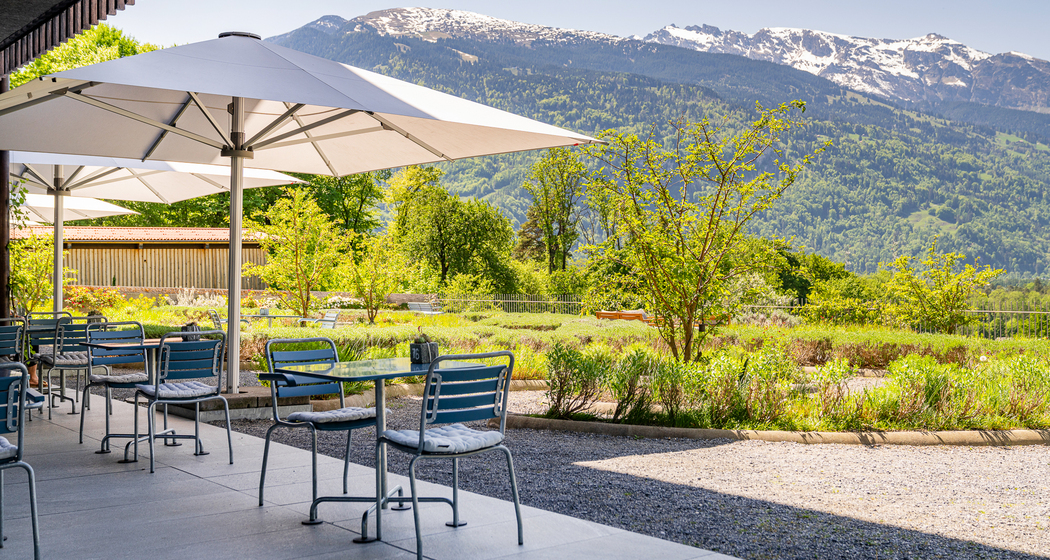 Restaurant Pinot (ctd_2ef7488_summer)