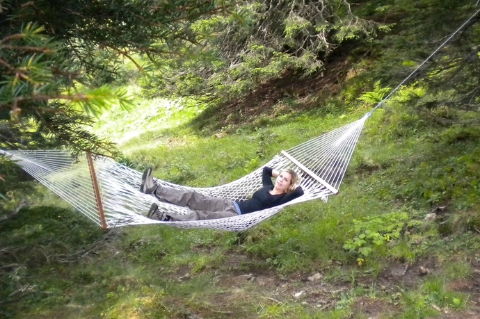 Hammock Forest (ctd_3cc2b90_image)