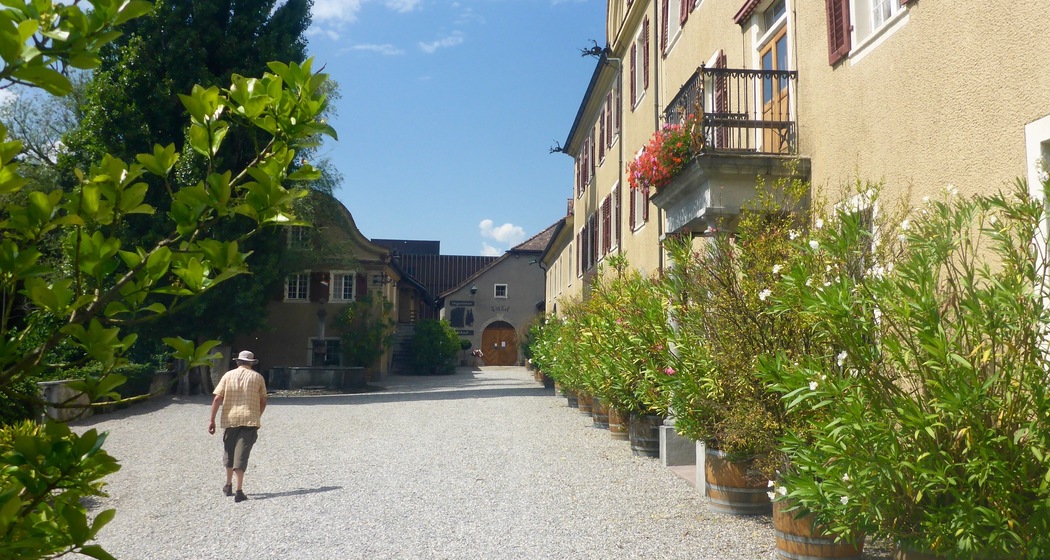 Schloss Salenegg (ctd_420b413b-25ca-4387-8748-bd79803fff3a_image)