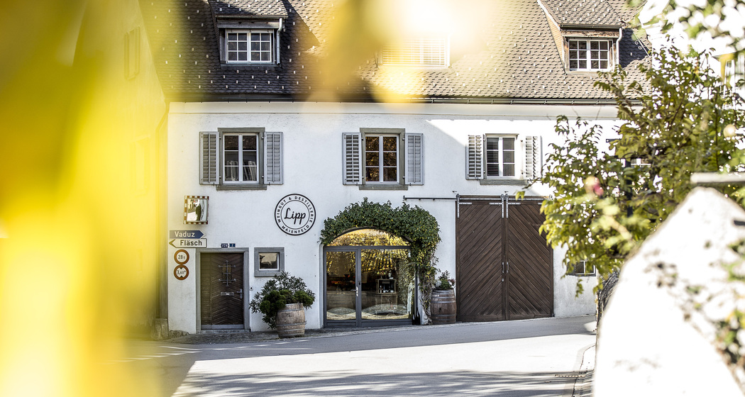 Lipp Weingut & Destillerie (ctd_45005140-0670-434e-9b87-02580f1e128b_img01)
