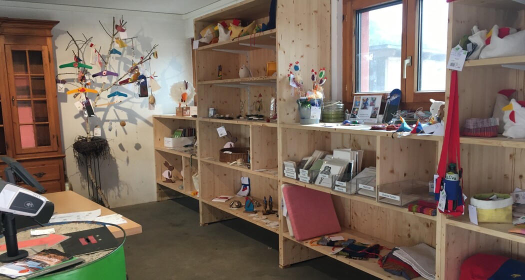 Innenraum des Birkahoflädile mit Holzregalen voller regionaler Produkte, dekorativ gestaltet mit bunten Elementen – Hofladen in Liechtenstein.