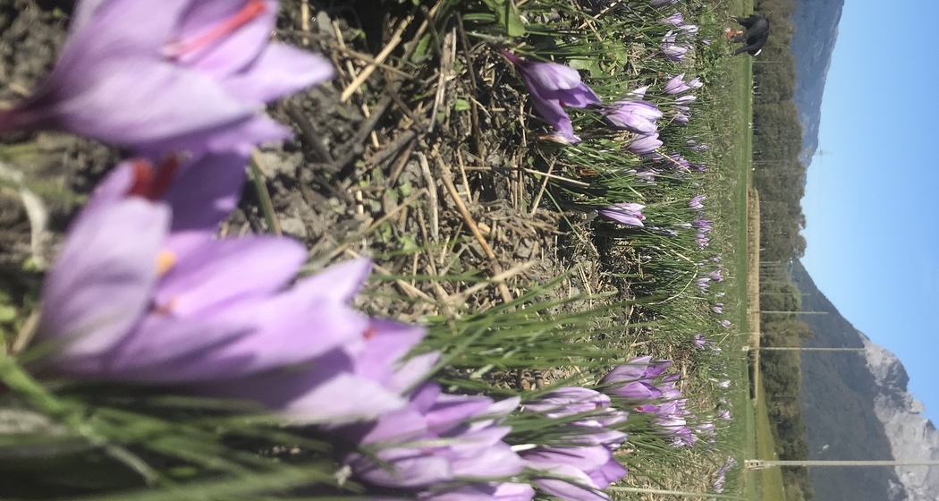 Adanks kleine Farm (ctd_473d7015-be91-4781-8073-a26ac5244fee_img01)