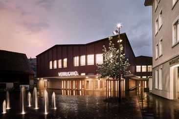 Verrucano (ctd_4c05ffaf-e859-4ed1-a367-3a48ba031ecc_image)