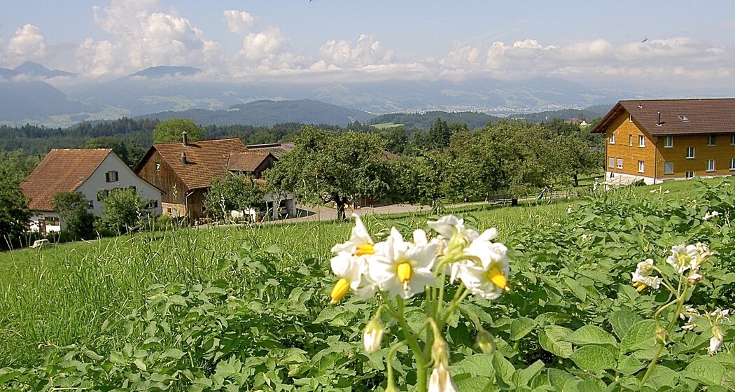 Hof Sicht von oberhalb