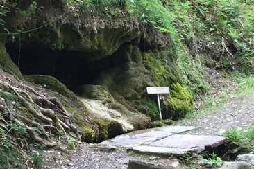 Sternstein (ctd_5084624e-d2c7-4846-8e9a-1d66d117f789_image)