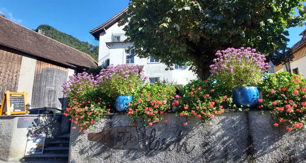 Weinstube Fläsch (ctd_516ac091-958c-43ad-bb9a-197bb7bcbd16_summer)