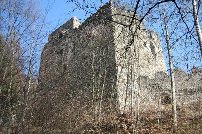 Burganlage Neu-Aspermont (ctd_55d138d_image)