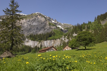 Alp Walabütz (ctd_5610d9b0-3206-45f2-bd26-bb5ca517bf4f_image)