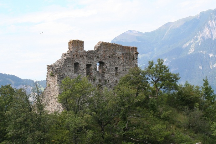 Burgruine Wartenstein (ctd_5bed762d-34e8-4bae-bb17-8c63c3c6a057_image)