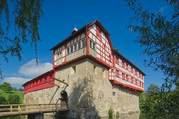 Château de Hagenwil (ctd_62820559-537c-43f8-bfd3-8865ceb19e7f_image)