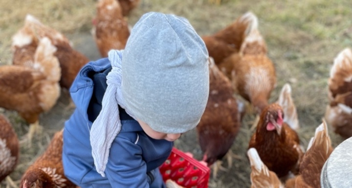 Hof Eggenberger (ctd_63f490ec-c7d6-4942-9669-c43fe5a43e59_img01)