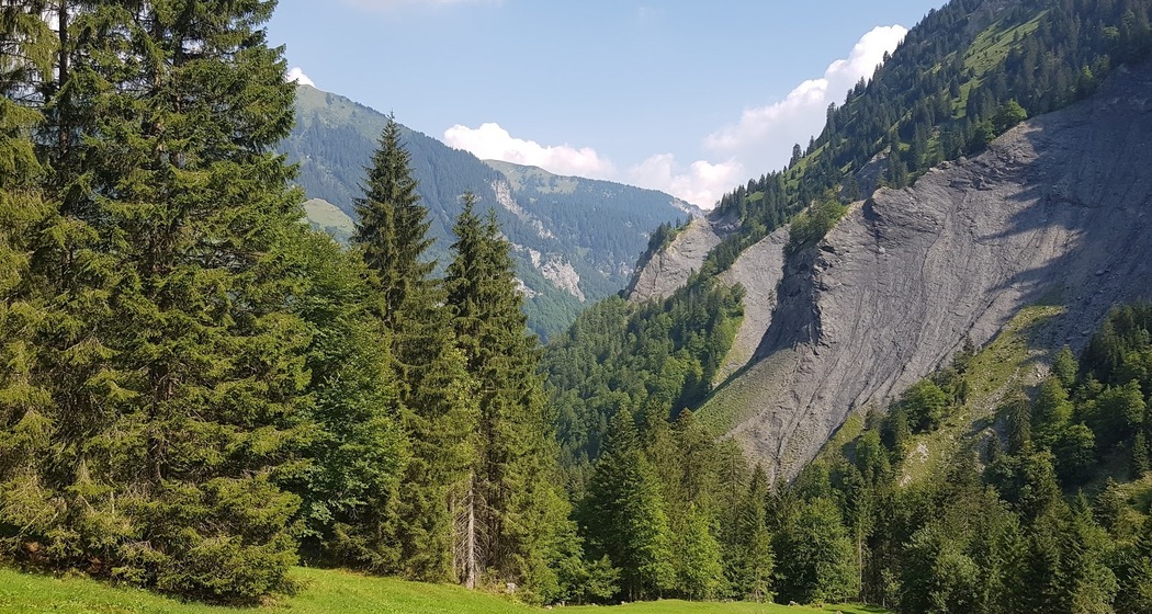 Doppelstein (ctd_6634a1b3-c4ba-461e-81e4-93083c6c0078_image)