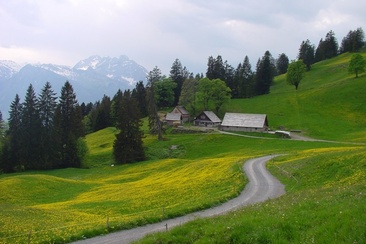 Alp Schrina (ctd_6835f787-fbf1-4f10-aec2-bce5ee9f53f4_image)