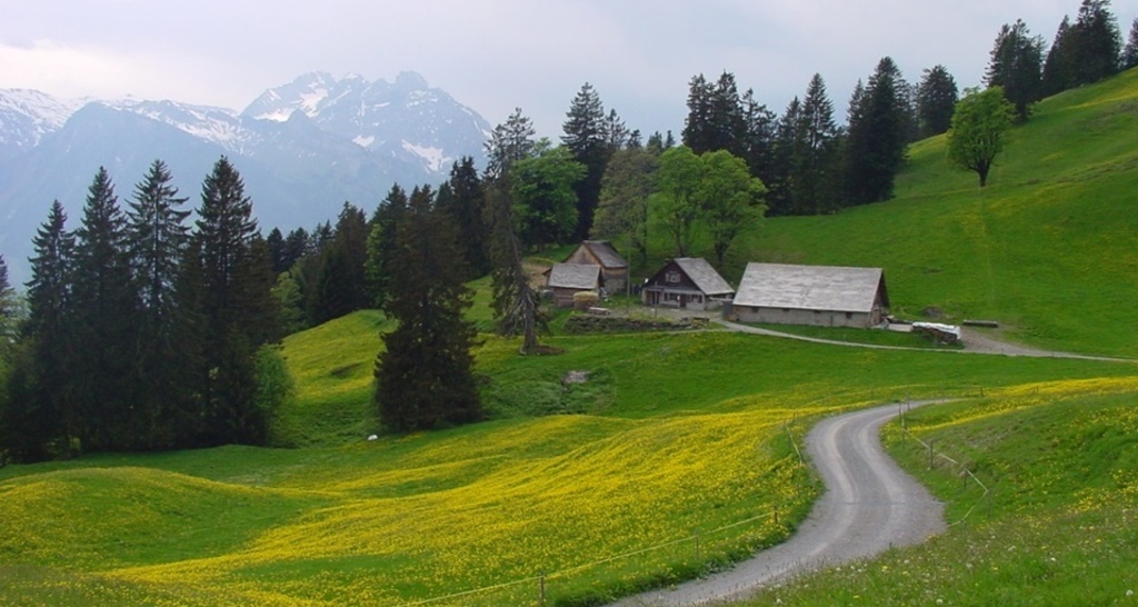 Alp Schrina (ctd_6835f787-fbf1-4f10-aec2-bce5ee9f53f4_image)