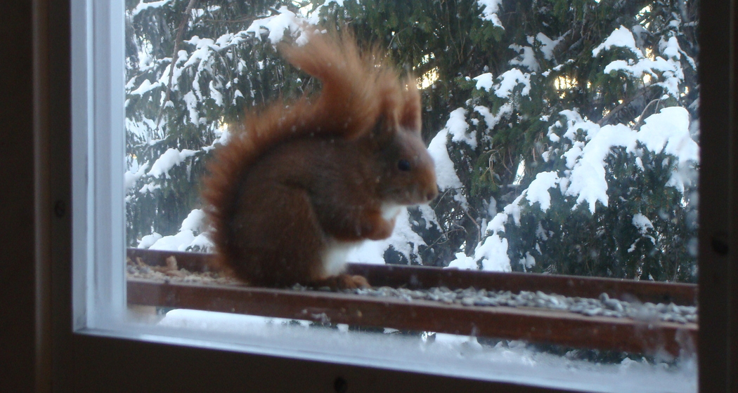 Haus Margrithli, Furt (ctd_68ff6816-75cc-46b4-a6ae-142656ac56f6_img01)