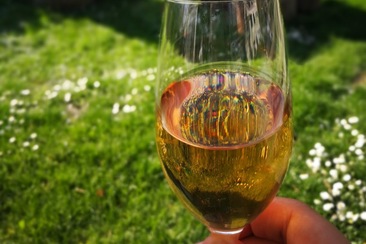 Törkali Ernas (ctd_6b0fa8d6-3fde-4e8a-9916-35d66d563a34_image)