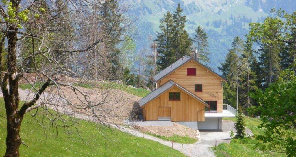 Ferienhaus Flumsi (ctd_6d9dbdd_image)