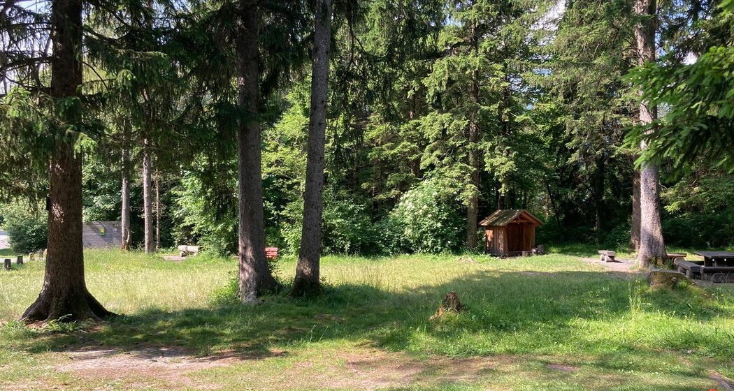 Stellplatz Rii Au (ctd_7447ae90-7973-4e37-ba13-f9abf9fbbb21_image)