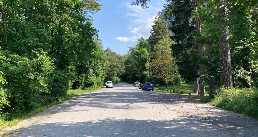 Stellplatz Rii Au (ctd_7447ae90-7973-4e37-ba13-f9abf9fbbb21_img01)