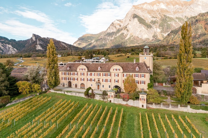 Weingut Schloss Salenegg (ctd_753c734e-963f-4b8b-ae3a-21fd0ae8bbc7_image)